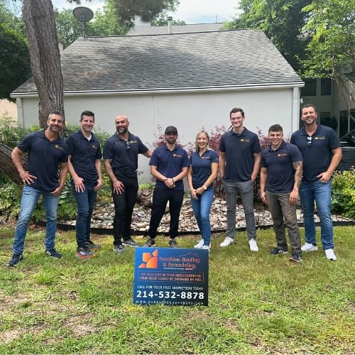 Professional roofing services in Plano Texas